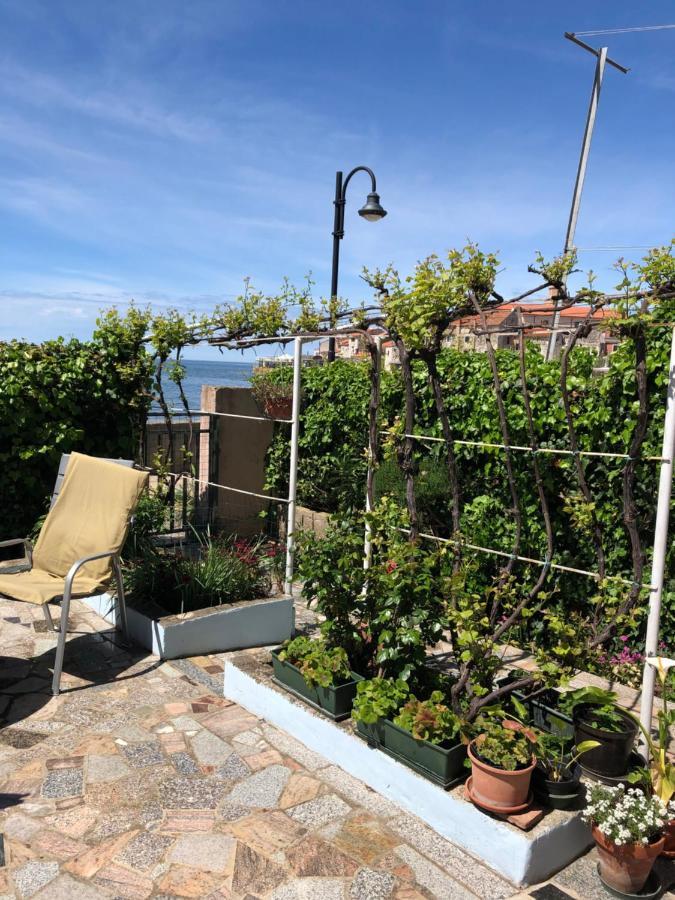 Apartman Ana Umag Exteriör bild